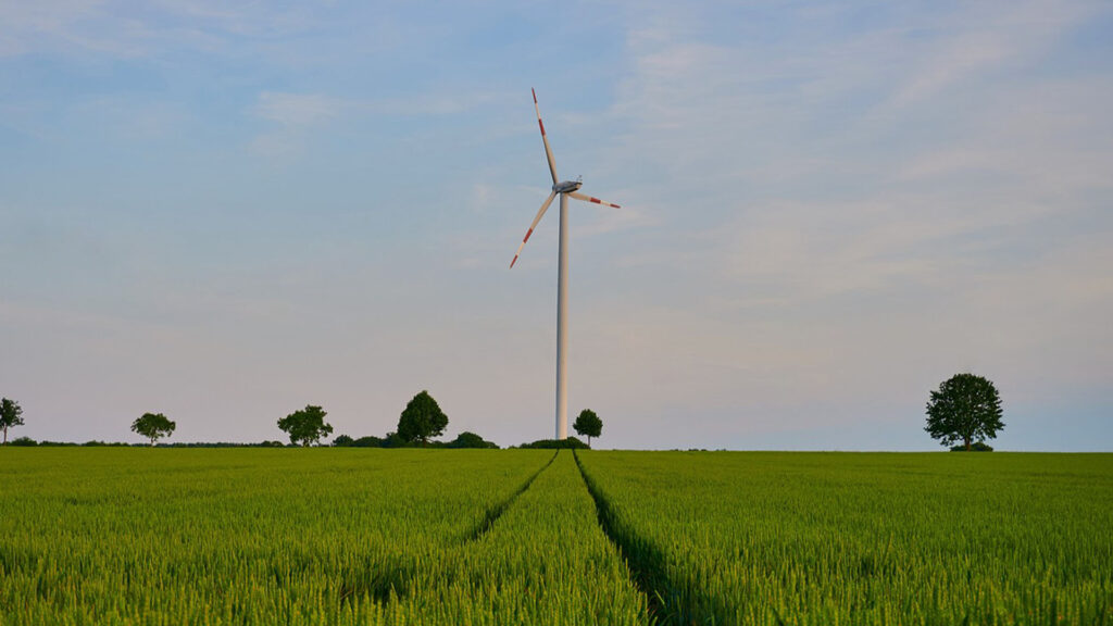 Symbolbild für grüne Energie: Ein Windrad zwischen Bäumen, vor einem grünen Feld und blauem Himmel.