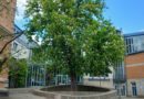 Der Seniorenbeirat der Stadt Bad Pyrmont lädt ein zur öffentlichen Delegiertenversammlung