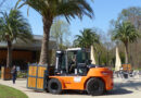 Palmentransport in den Kurpark