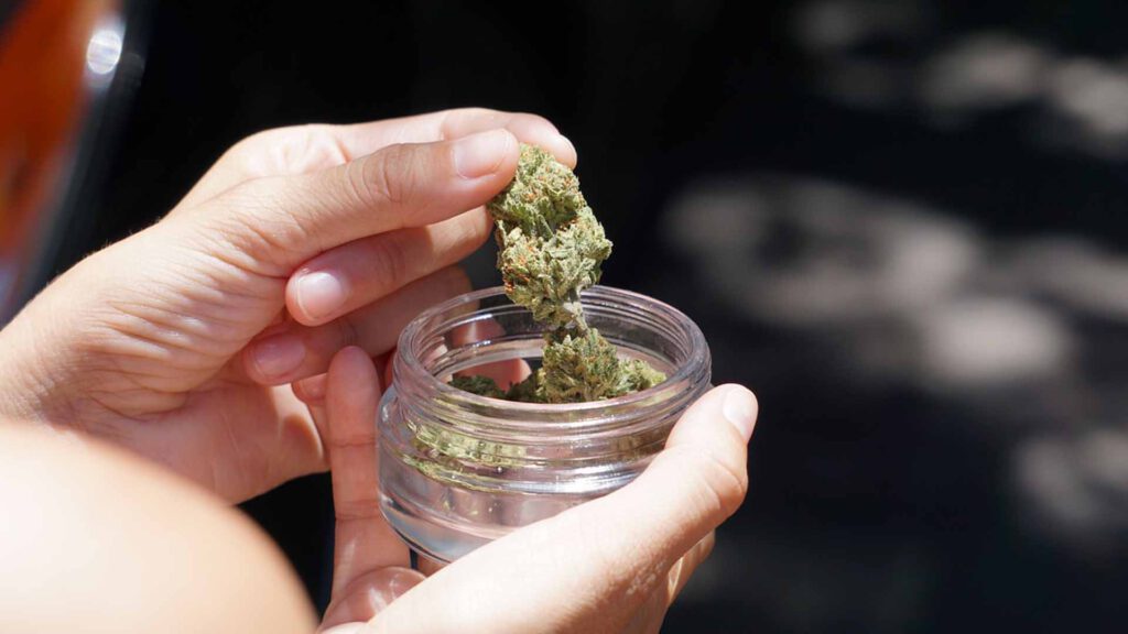 Symbolbild für Cannabis
