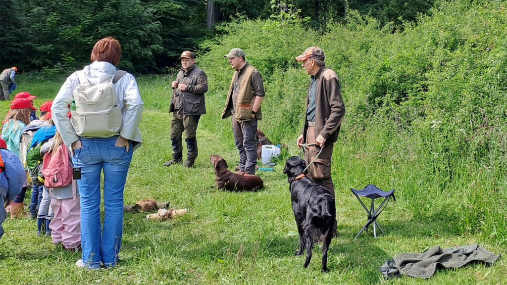 Ein Tag im Wald. Jäger mit ihren Hunden erklären etwas, während Kinder gebannt zu hören.