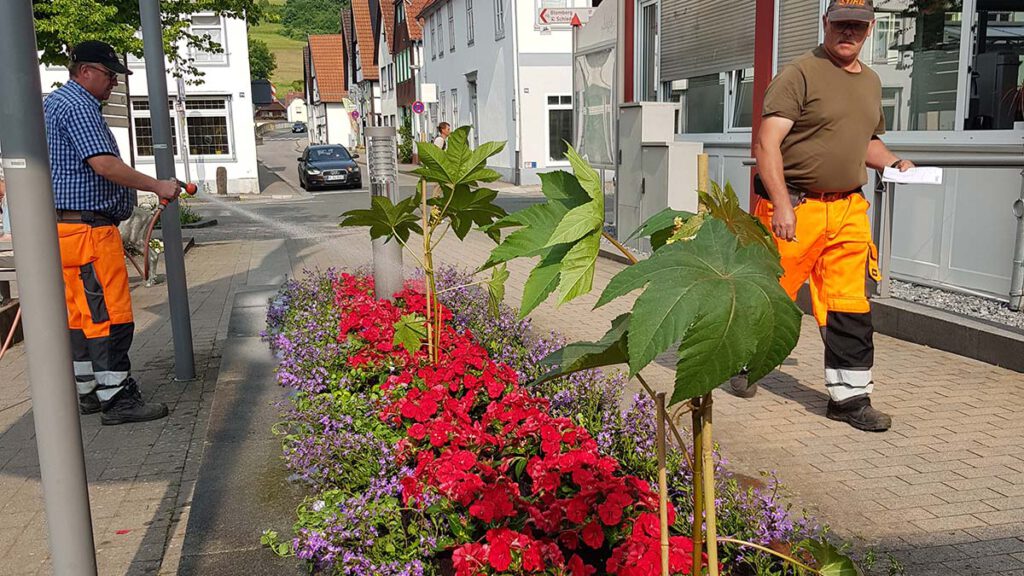 Neue Bepflanzung vor dem Rathaus.