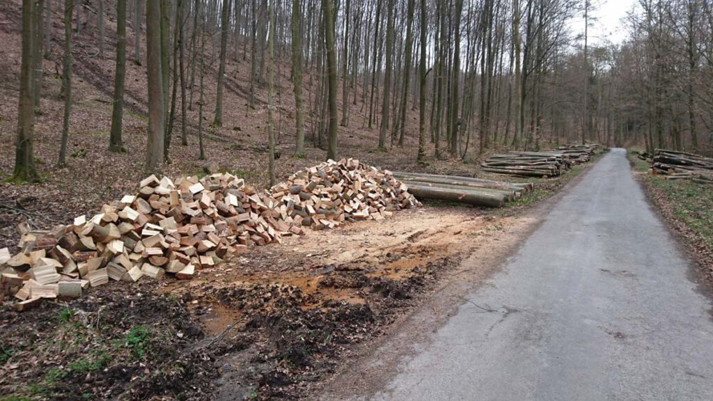Symbolbild für die Brennholzbestellungen