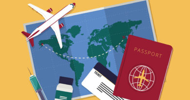 Impfungen für die Sommerreise: Zusehen ist eine Grafik mit einem Flugzeug, einer Weltkarte, einem Passport, ein Ticket und eine Spritze mit Impfstoff.