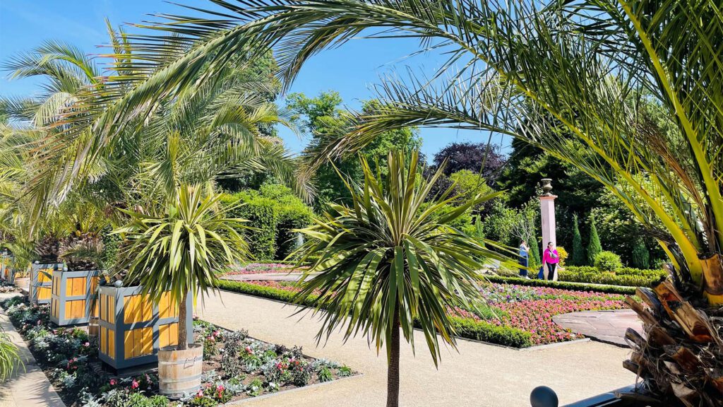 Der Palmengarten im Bad Pyrmonter Kurpark