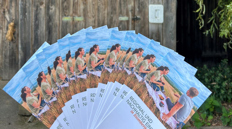 Neuer Flyer für die Region.