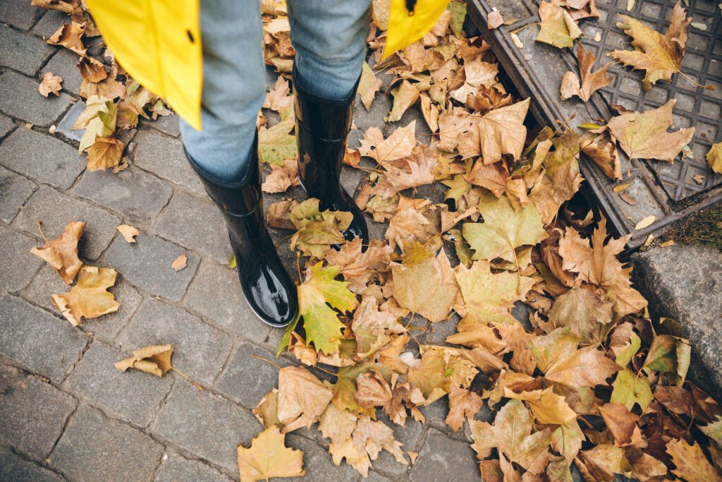 Im Herbst sammeln sich immer Blätter auf den Gehwegen und Gossen. Die Stadt Lügde erinnert an die Straßenreinigungspflicht der Bürger, die Straßen vor ihren Häusern sauber zu halten.