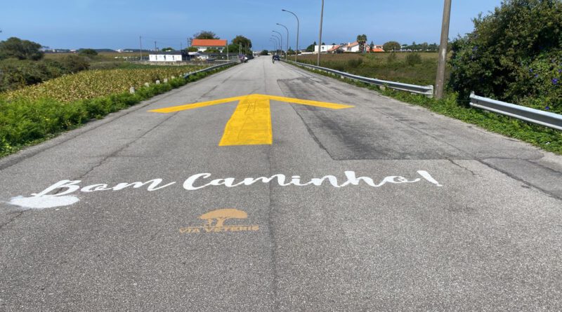 Mit dem Fahrrad auf dem Pilgerweg