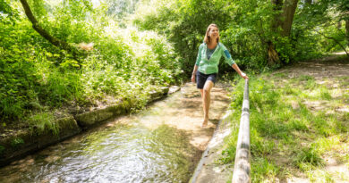Altstadtspaziergang und Familienwanderung in Lügde
