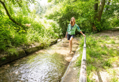 Altstadtspaziergang und Familienwanderung in Lügde