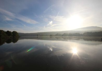 Blaualgen im SchiederSee