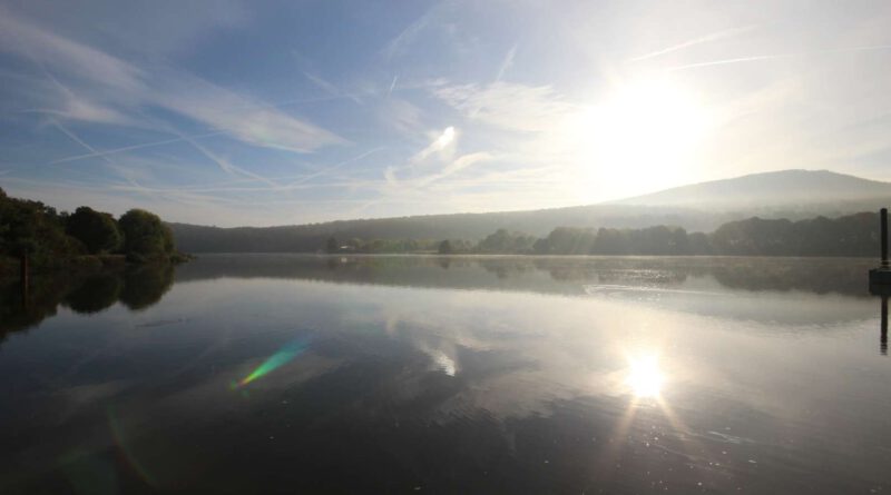 Blaualgen im SchiederSee