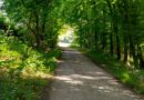 Pyrmonter Wanderwege werden aufgewertet
