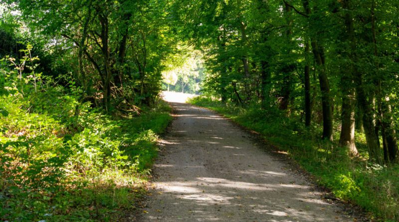 Pyrmonter Wanderwege werden aufgewertet